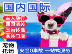 文山砚山航空空运国际宠物托运 【国